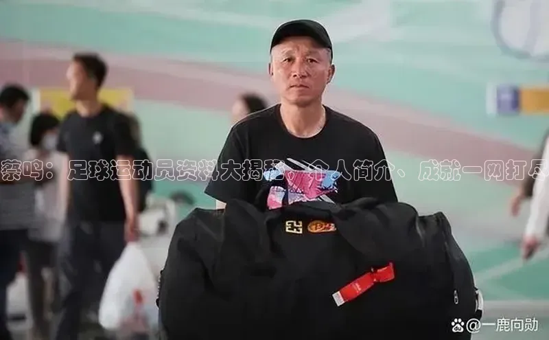 长征app下载安装百度取证蔡鸣：足球运动员资料大揭秘，个人简介、成就一网打尽